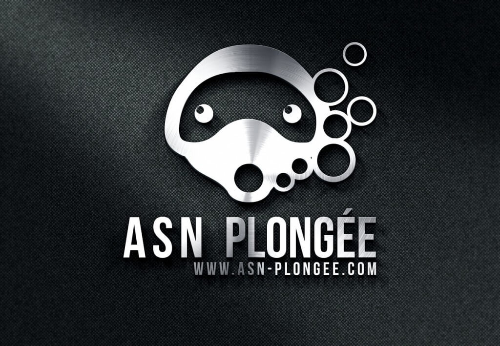 logo-ASN-2